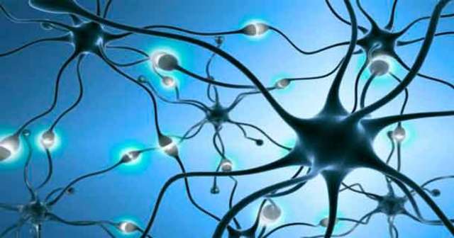 Появление теории нейронных сетей, как научного направления.