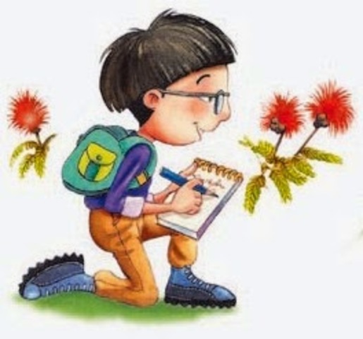 Aprendizaje por Observación