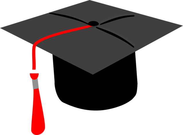 MBA para el líder técnico en el exterior