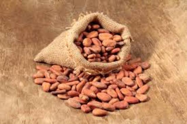 Él cacao