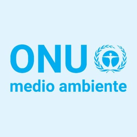 La primera conferencia de la ONU