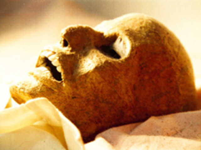 Homer's skeleton is discovered