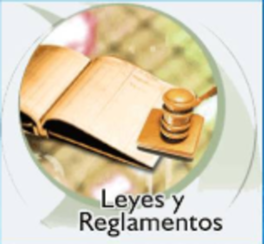 Currículo 1991-2009