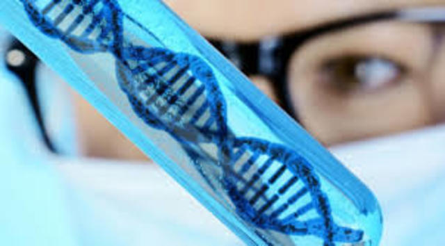 NO TERMINAN ESTUDIOS