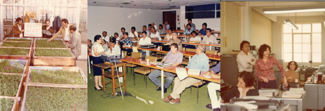 Se conforma como subdirección