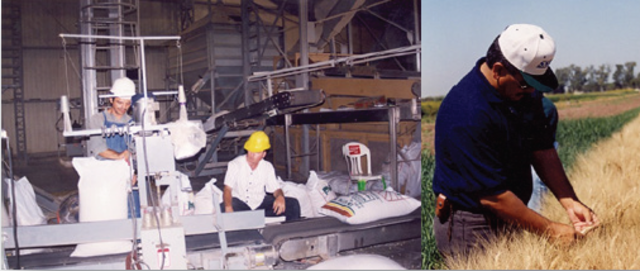 Desconcentración de la SAGARPA