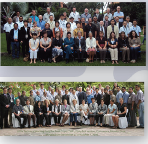 Reuniones Internacionales