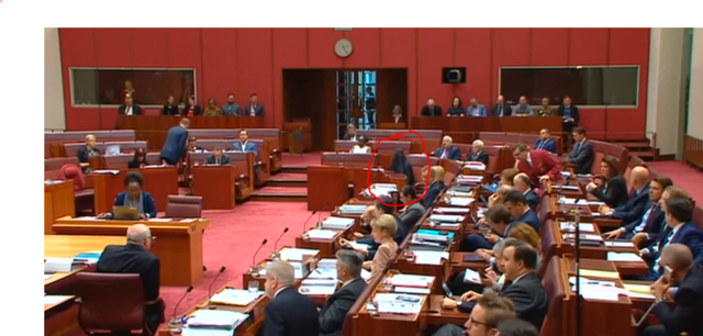 Senator Hanson Mocks Burqa