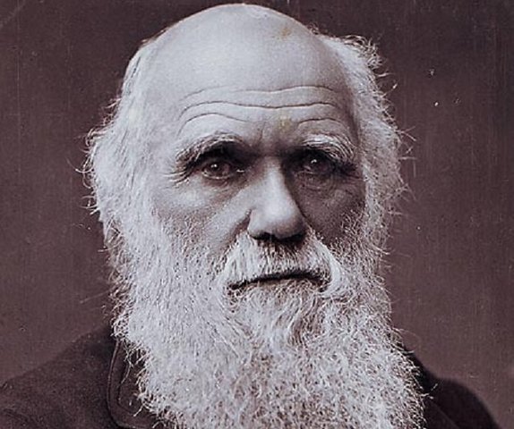 Darwin