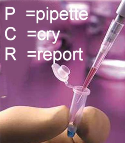 PCR