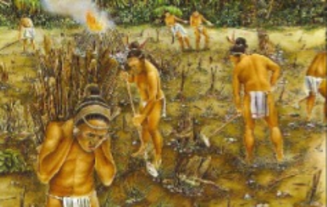 Sofisticado Sistema Agrícola