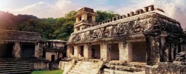 El ambiente de los mayas crece