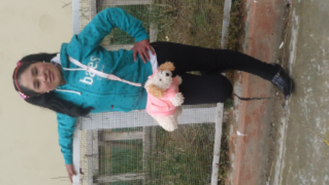 Ingreso ala universidad