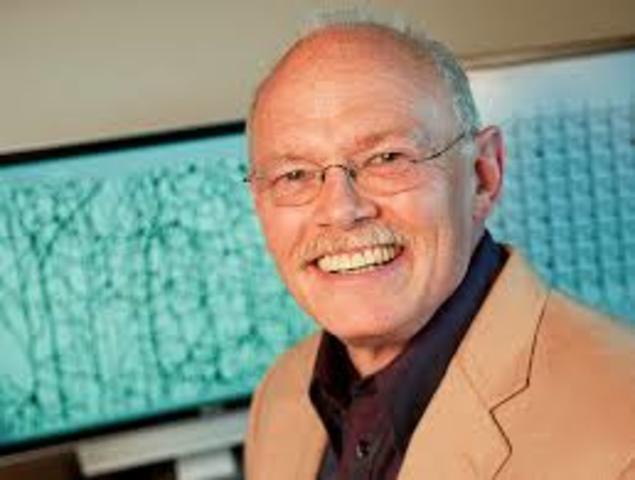 McClelland y Rumelhart