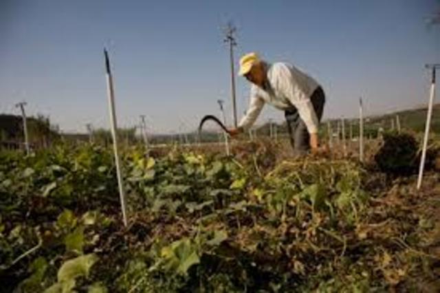 Agricultura tradicional - Ancestral