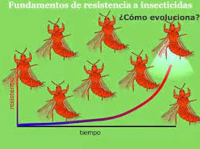 Efectos revolución verde