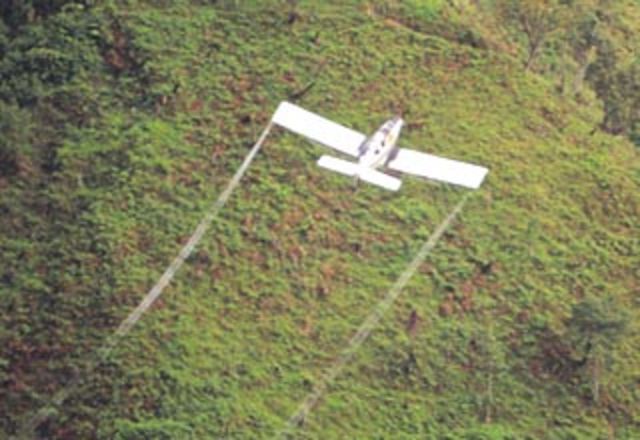 Eficiencia de la producción