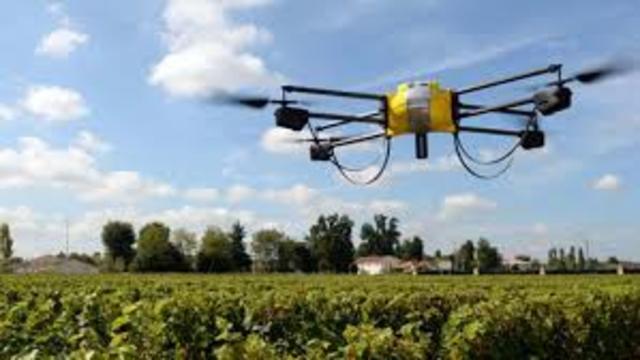 Agricultura convencional