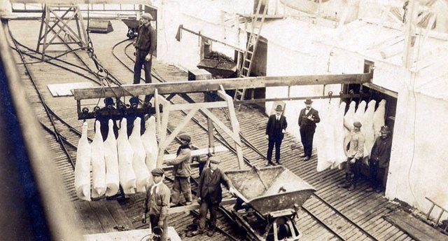 Exportación ganadera