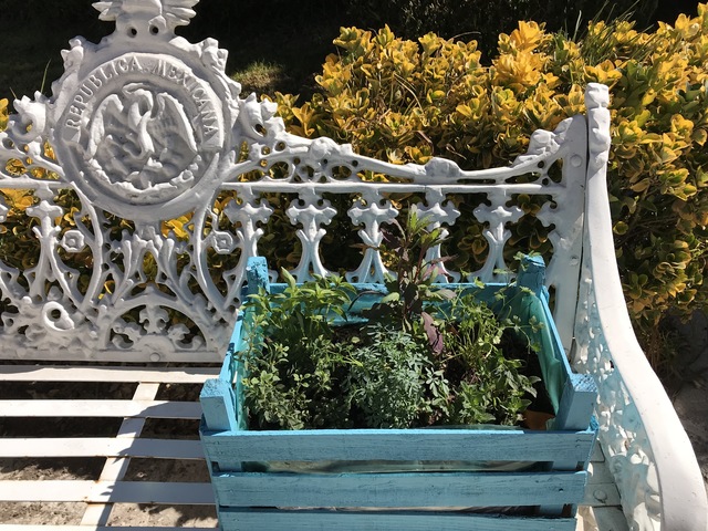 Objetivo 9. Crear mi propio negocio "Huertos Urbanos Xochitlani"