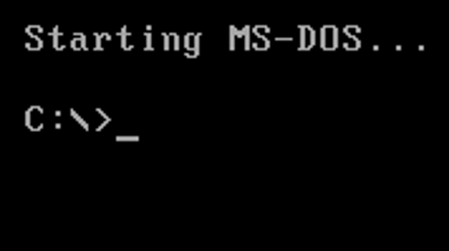 MS-DOS (MicroSoft-Disk operating System).