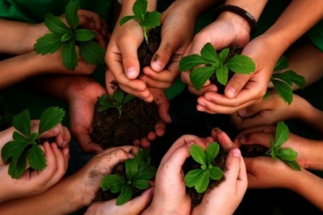 Objetivo 4.  Consolidar un equipo de trabajo.