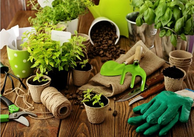 Objetivo 2. Conseguir el material y equipo necesario para el negocio.