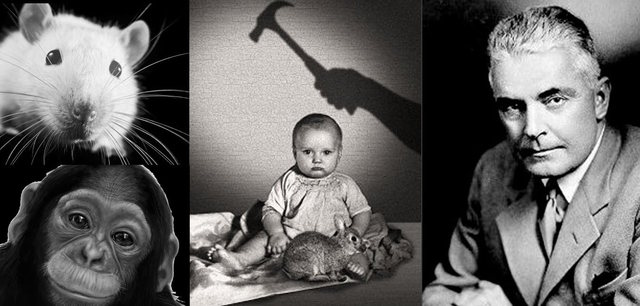 WATSON, PAVLOV, SKINNER