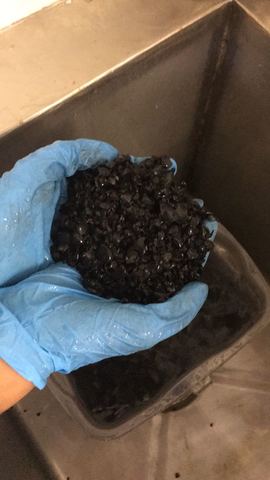 Inicio lavado de Carbón Activado