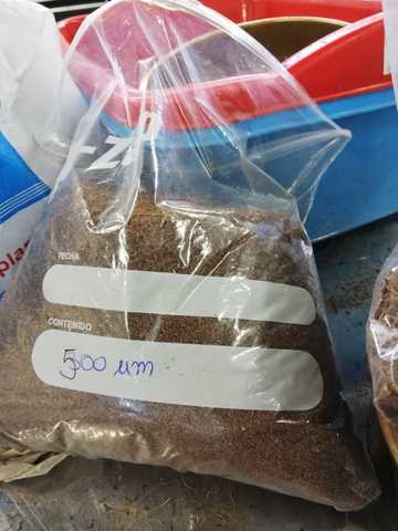 Inicio tamizado de fibra de coco