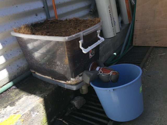 Lavado del biofiltro