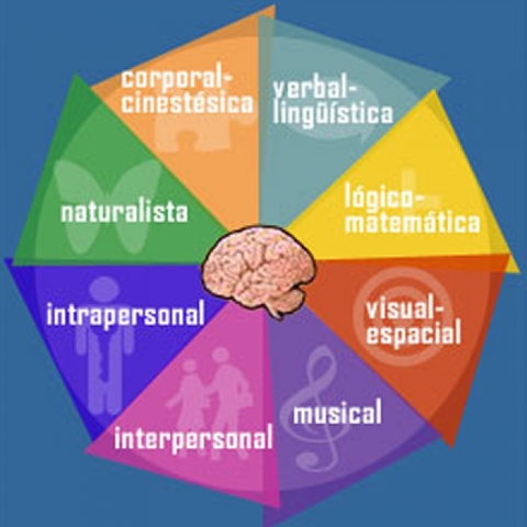 TEORÍA DE GARDNER (1983-2002)