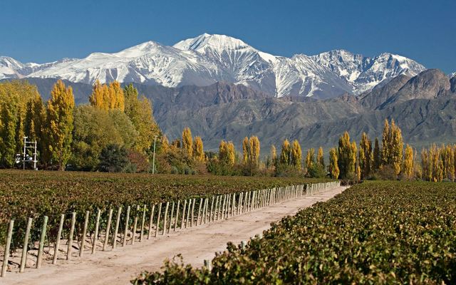 Mendoza