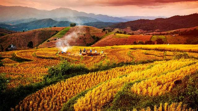 Programa Desarrollo Social Integrado y Sostenible para la Cohesión Social en Regiones Prioritarias