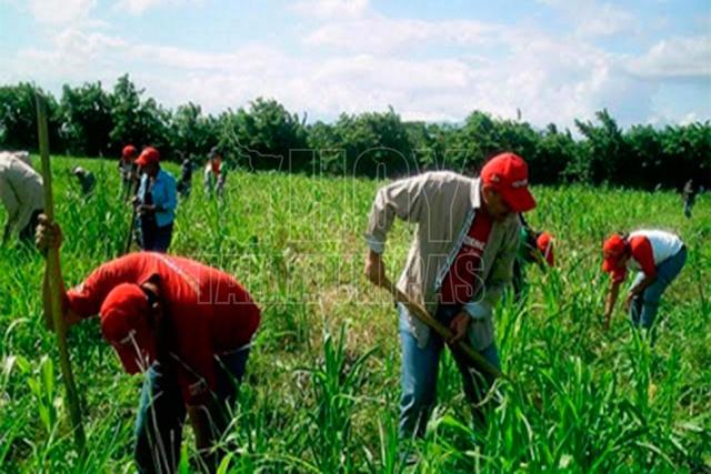 Programa de Atención a Jornaleros Agrícolas