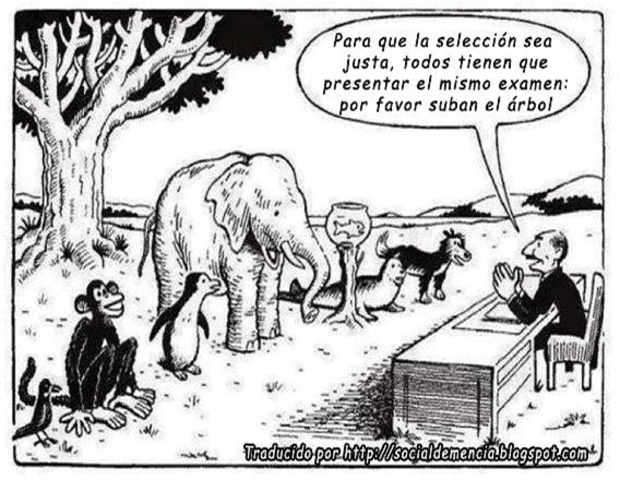 Modelo socioconstructivista