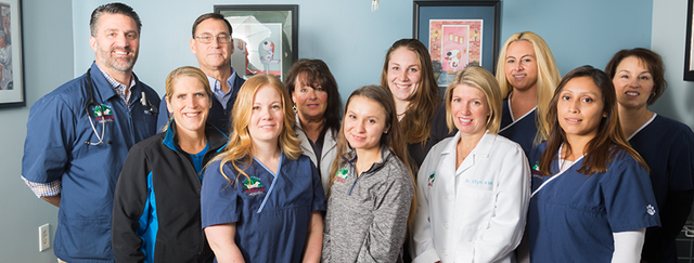 Empezar el trabajo en el veterinario