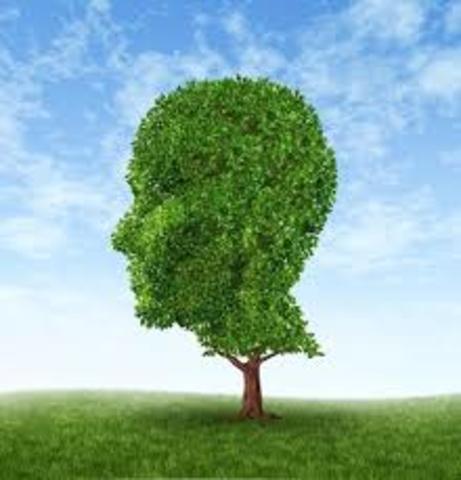 Inteligencia Ecologica