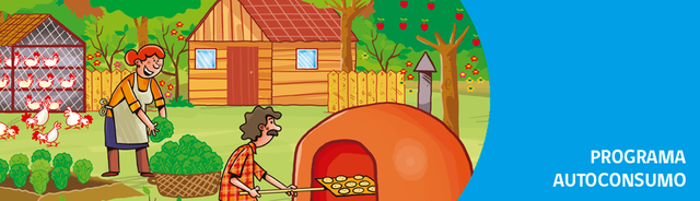 Programa autoconsumo