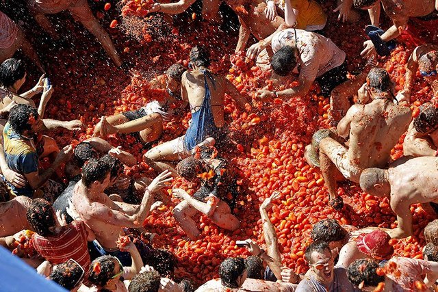 Festival de la Tomatina