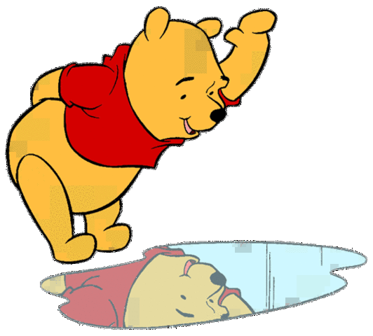 Self Reflection and Peer Observations