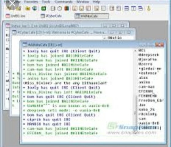 Se desarrolla IRC (chat)
