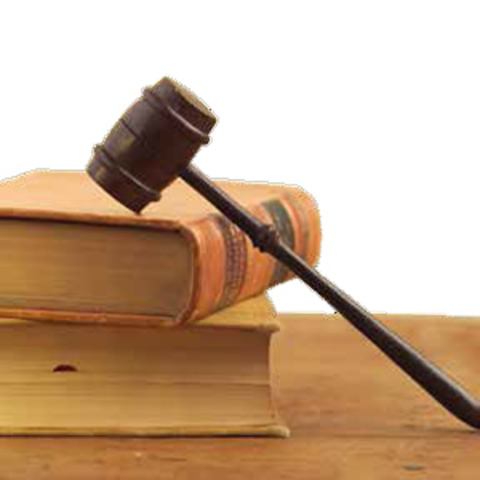 EL AMPARITO Y SU CRECIMIENTO