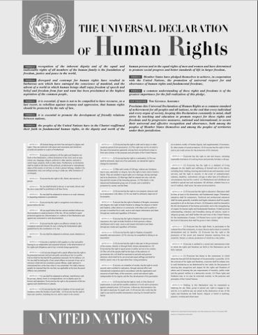La Declaración Universal de los Derechos Humanos (1948)