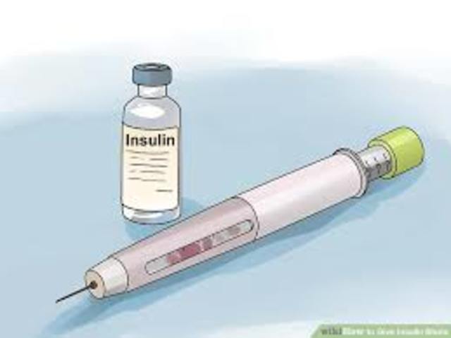 The Discovery of Insulin +2