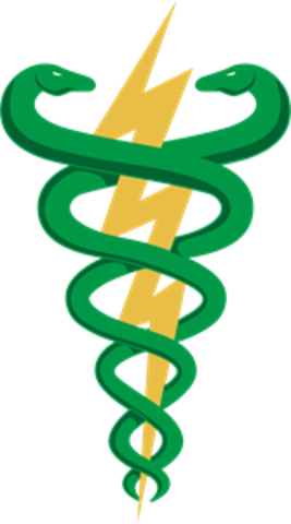 Cursos superiores de Fisioterapia e de Terapia Ocupacional
