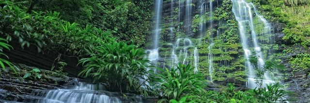 PARQUE NACIONAL LOS KATIOS