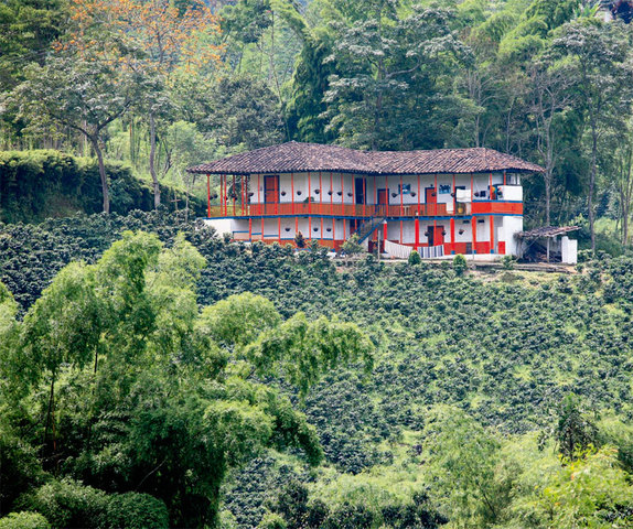 PAISAJE CULTURAL CAFETERO