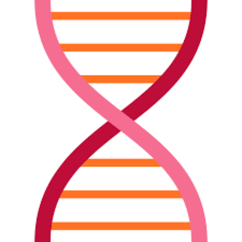 Se determina la existencia del ADN y ARN (Phoebus Levene)
