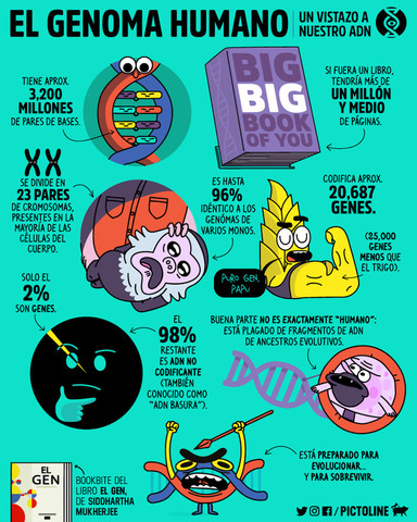 Termina oficialmente le Proyecto Genoma Humano
